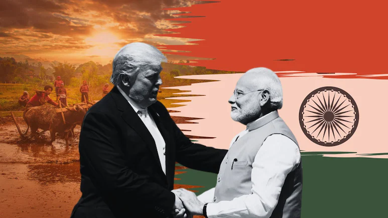 न खेत बराबर- न पैदावार.. अमेरिका से व्यापार समझौते में भारत डेयरी, कृषि आयात के मोर्चे पर क्यों नहीं झुक रहा
