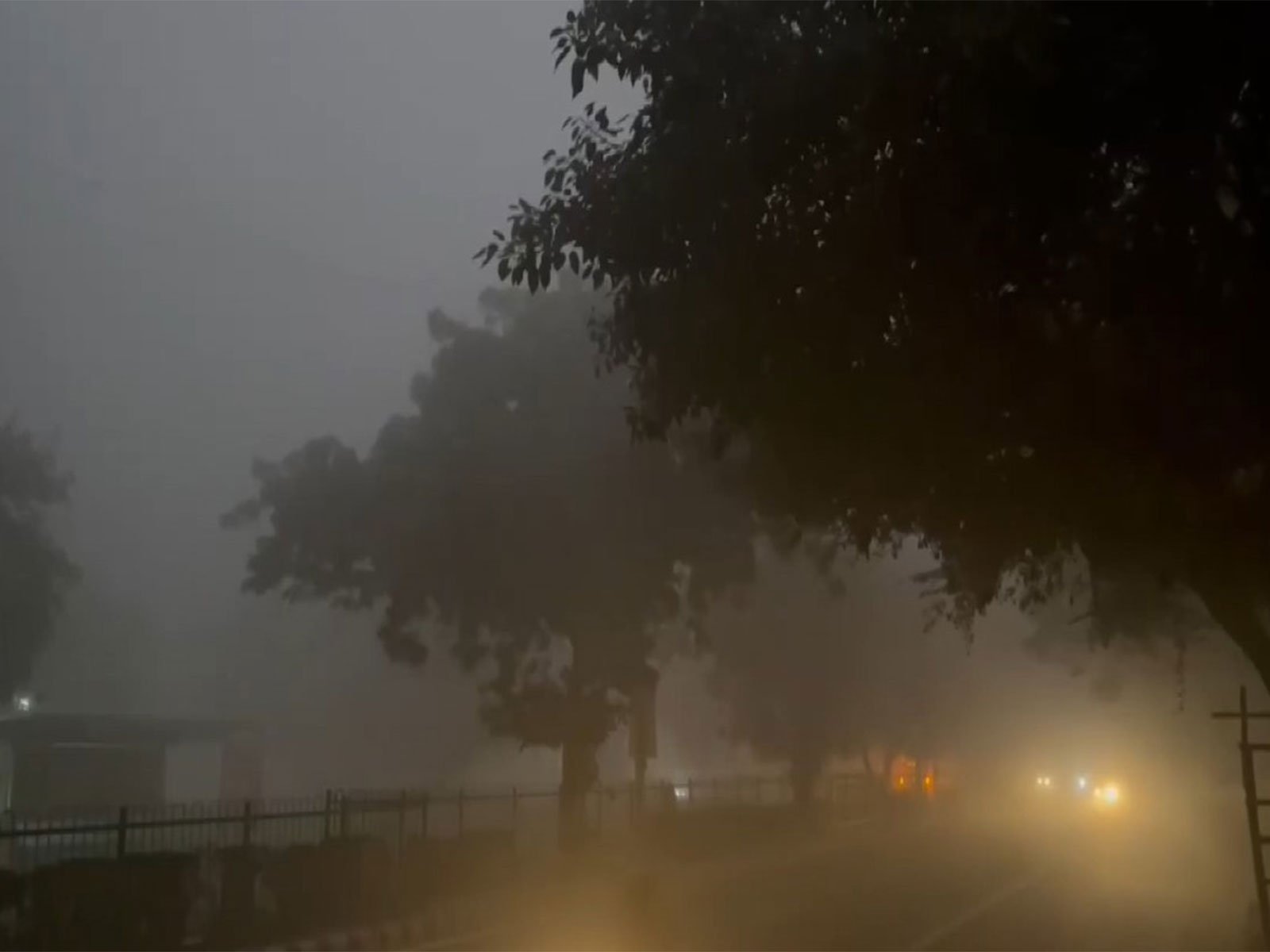 delhi-fog