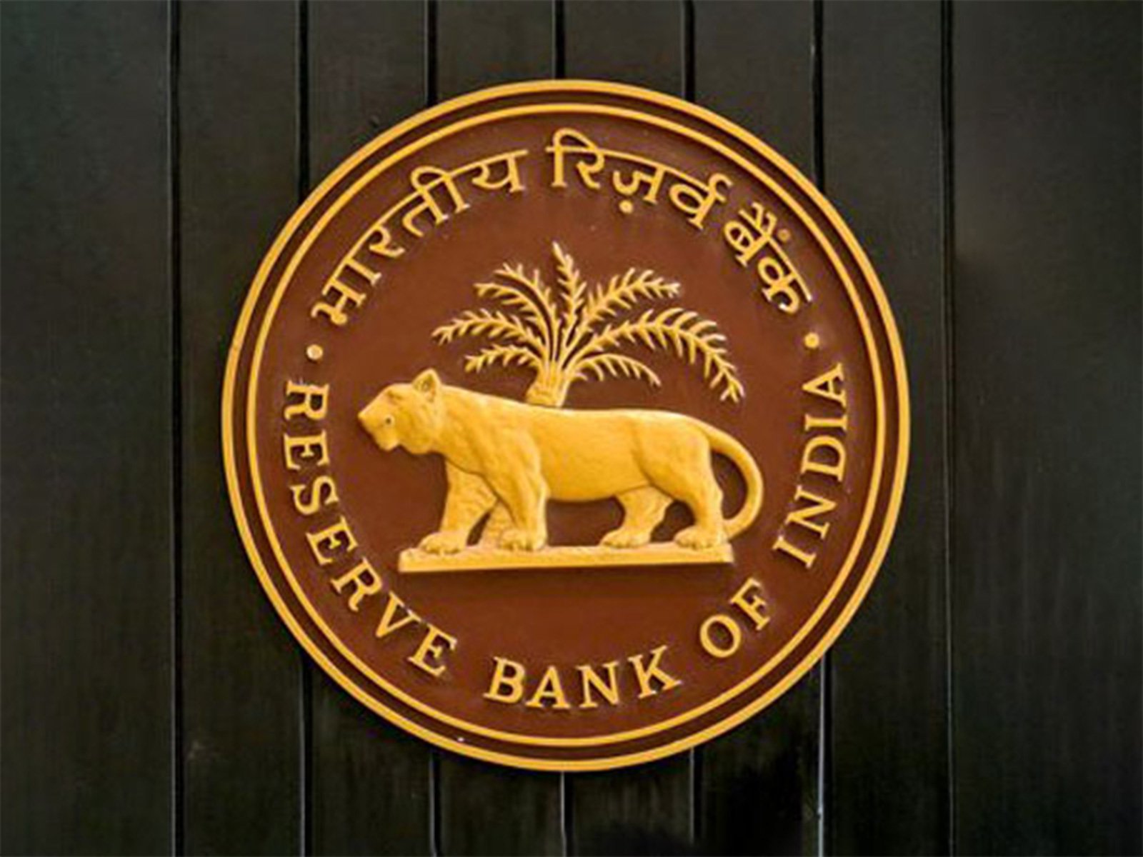 RBI Logo