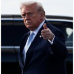 Oil prices fall by over 13%