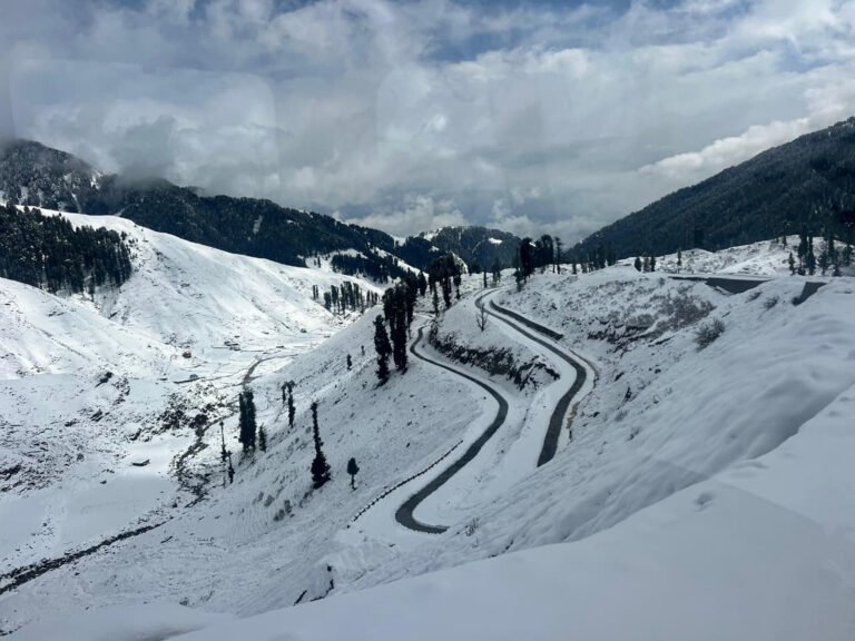 Visuals from fresh snowfall in Jammu and Kashmir