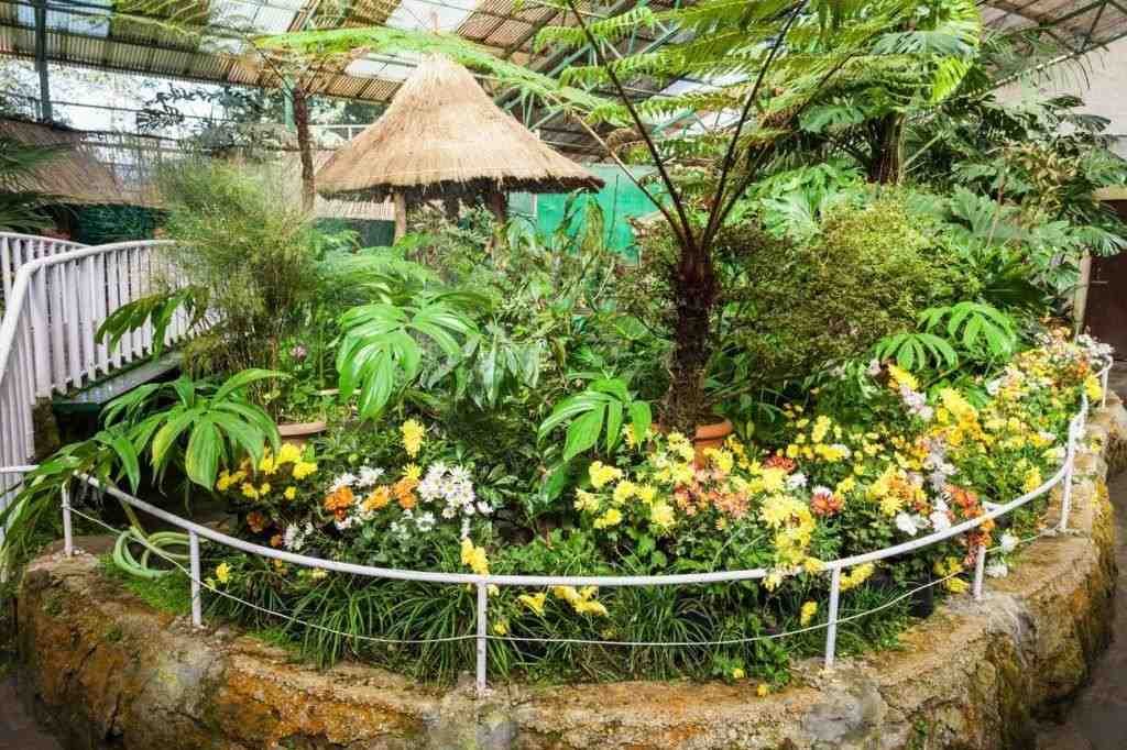 Orchidarium Showcases Unique Floral Diversity