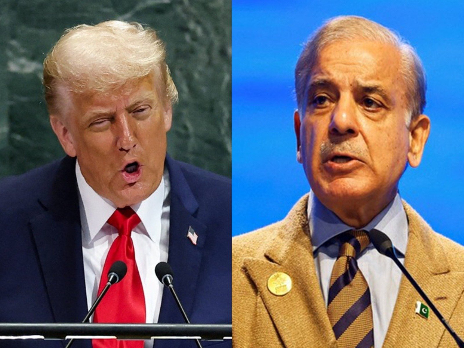 US President Donald Trump (L), Pakistan's Prime Minister Shehbaz Sharif