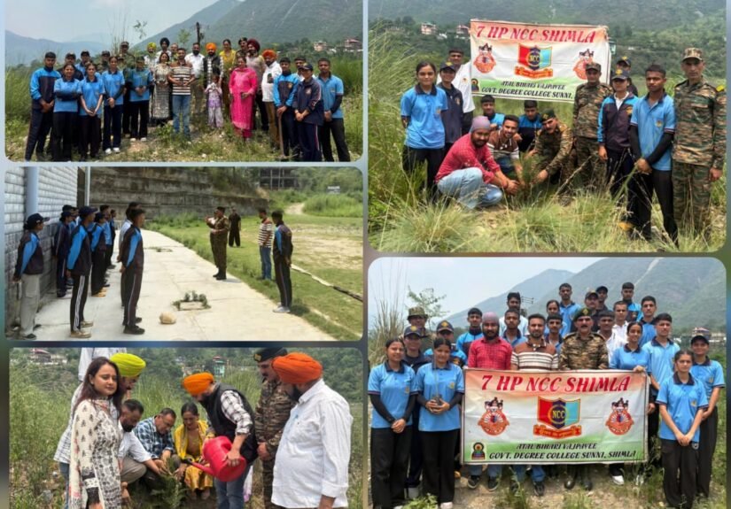 Himachal Pradesh plantation drive