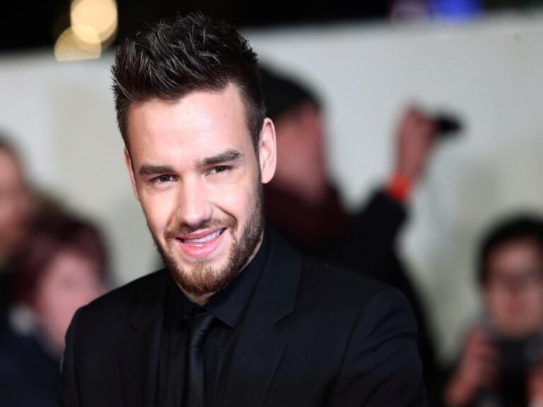 Liam Payne's Son Bear Named Sole Heir to Singer's Multi-Million Dollar Estate Liam Payne son Bear