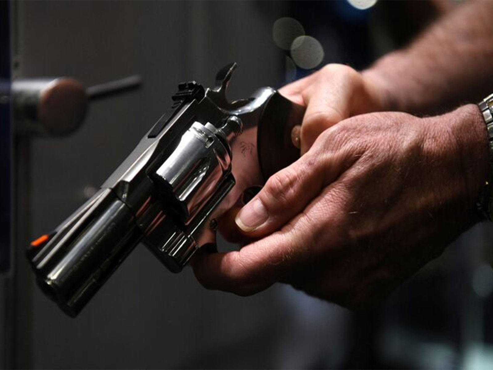 Portugal shooting probe