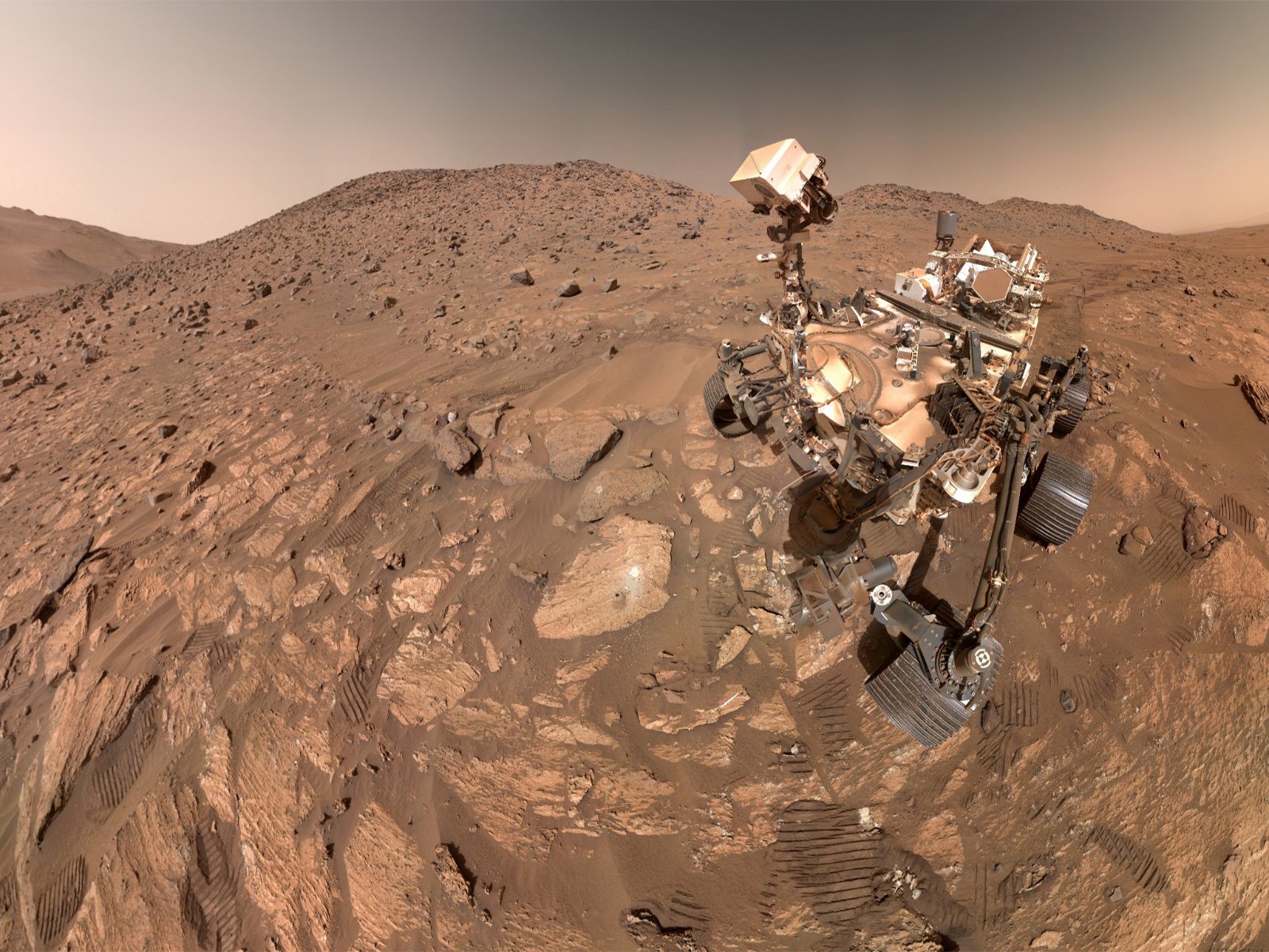 Signs of Life on Mars discovered by NASA Perseverance Rover