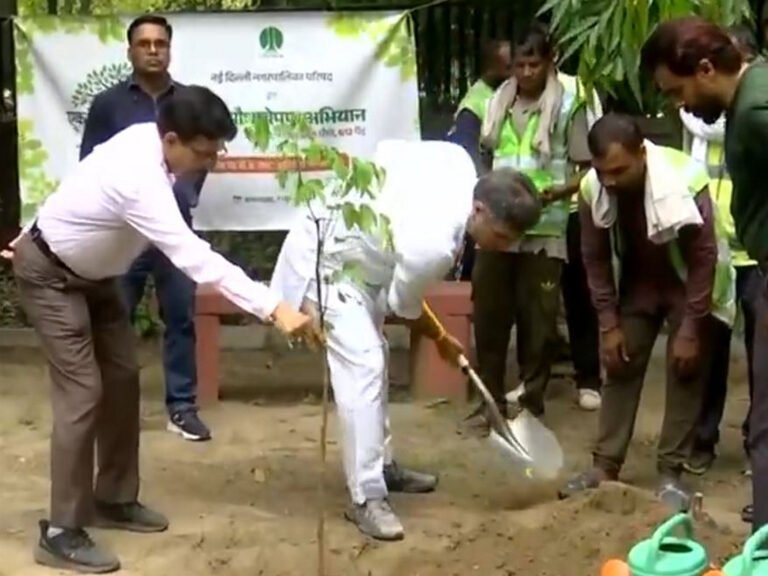 Delhi govt plants 70 lakh trees