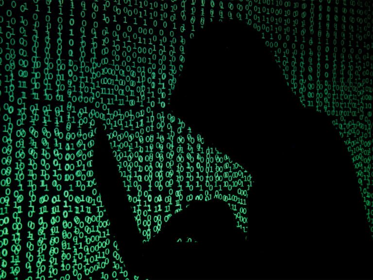 Delhi cyber fraud syndicate