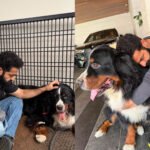Jr NTR Bagheera