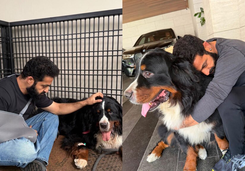 Jr NTR Bagheera