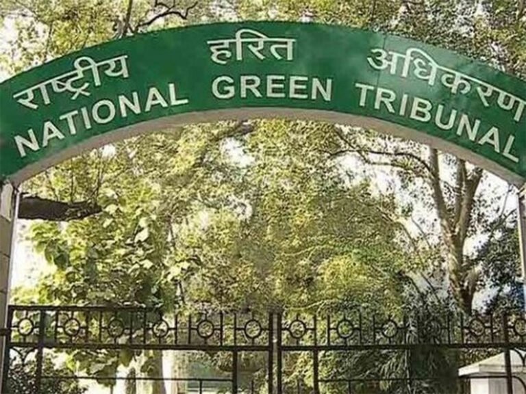 NGT Yamuna illegal sand mining case