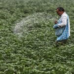 NIPU-2026 urea investment