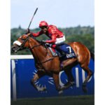 Suraj Narredu