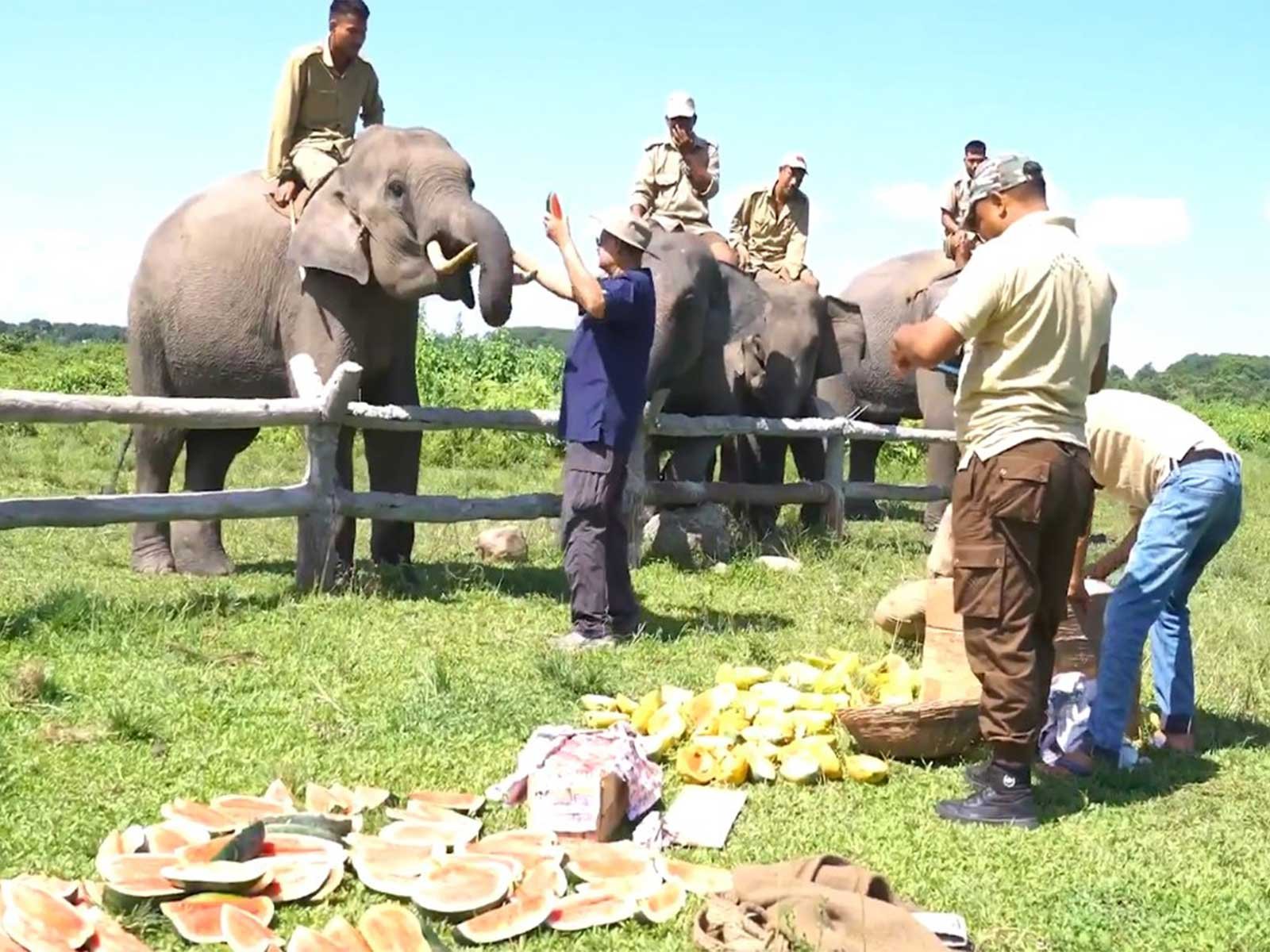 Vantara Foundation: 5 Major Assam Wildlife Plans Vantara Foundation
